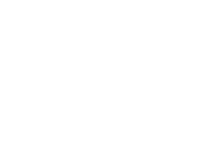 SAE Logo Solo RGB White 300ppi