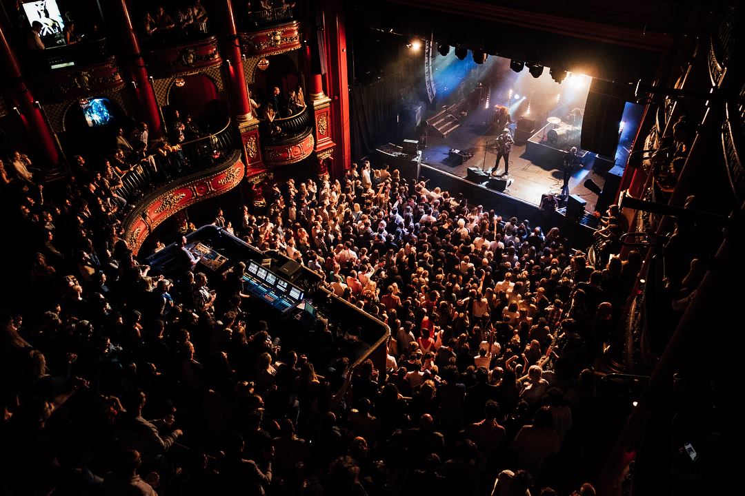 2019 Koko