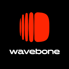 sae-imsta-festa-exhibitor-wavebone