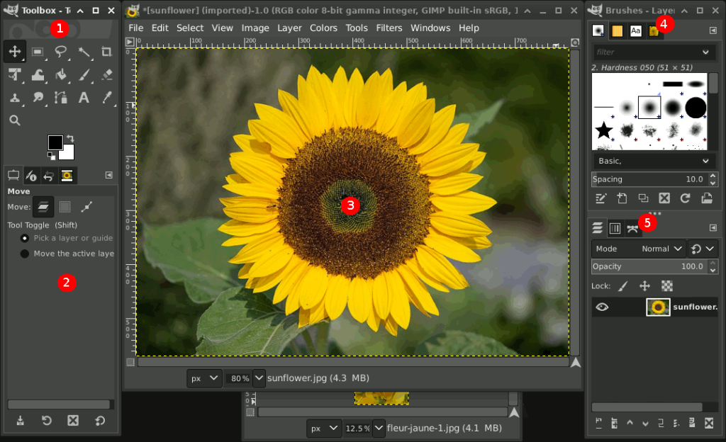 GIMP Software