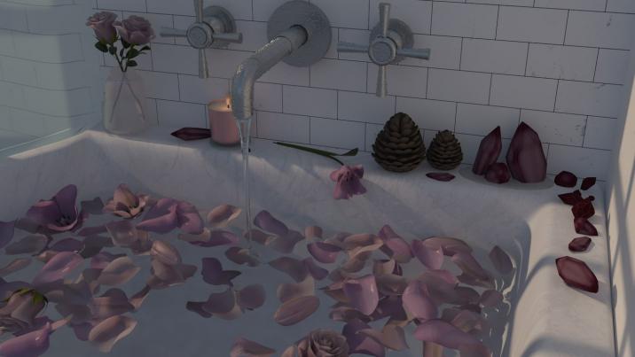 bathtub8-athelina