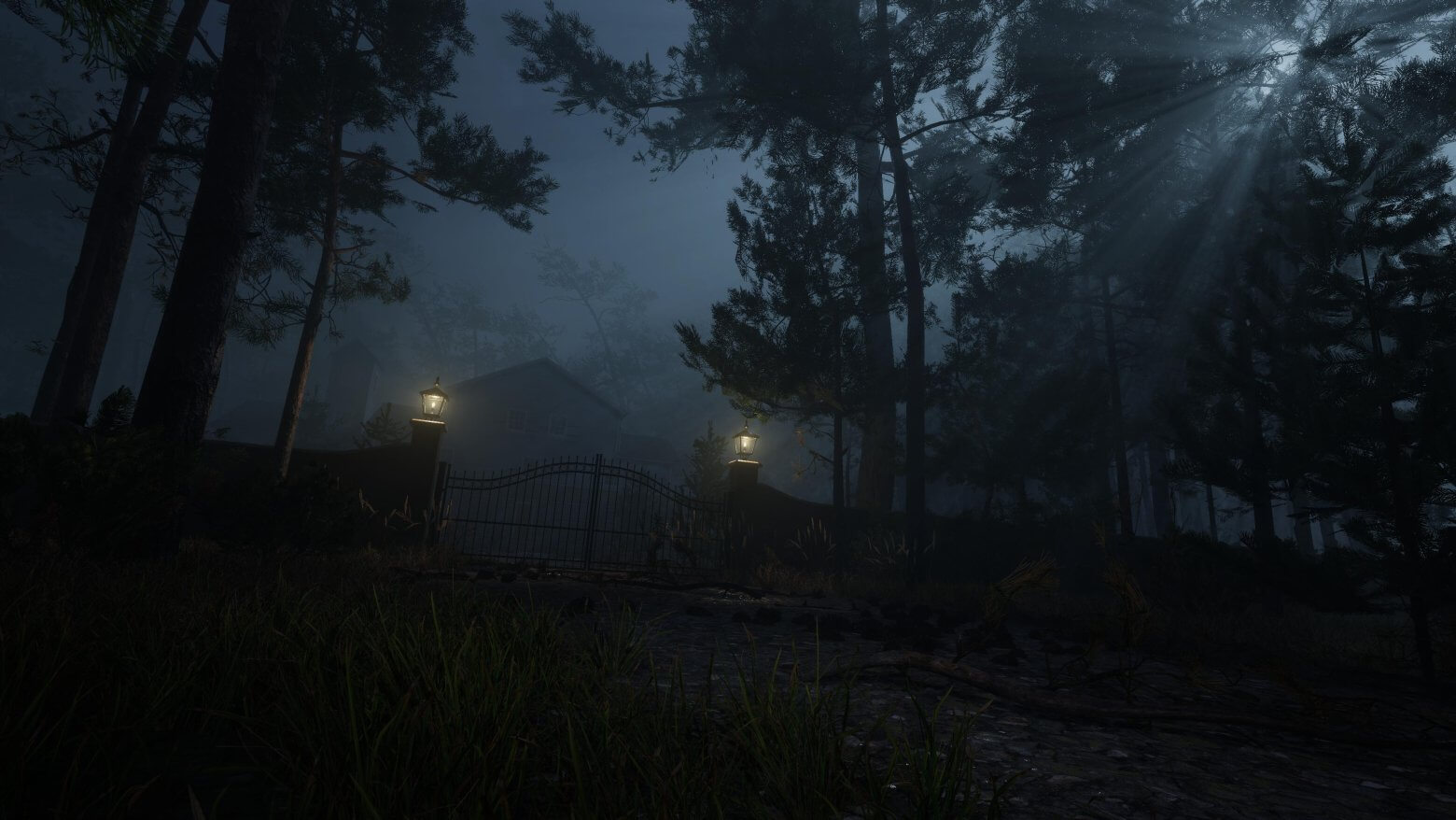 Exterior Forest_Haunted Bloodlines