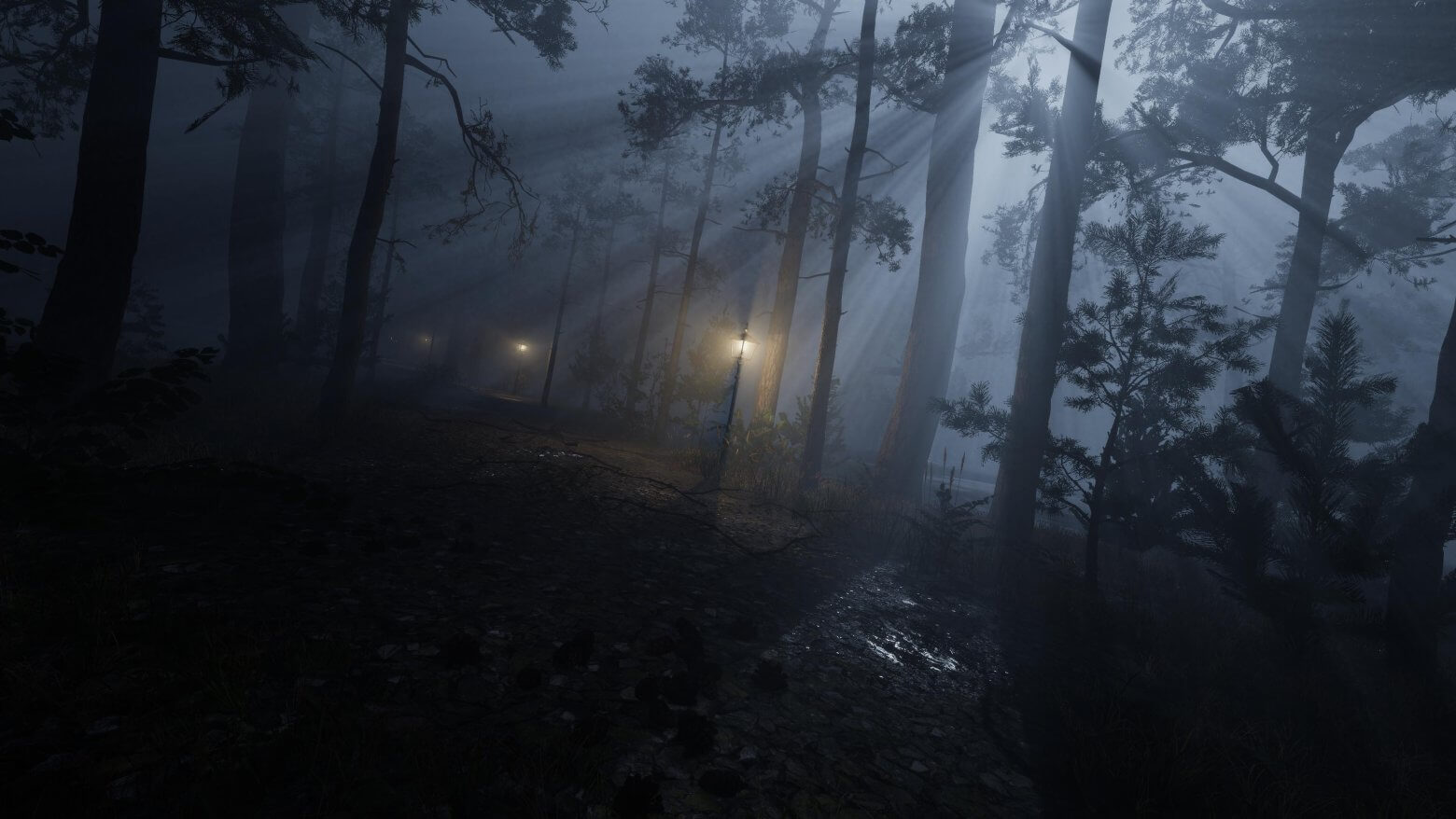 Forest_Haunted Bloodlines