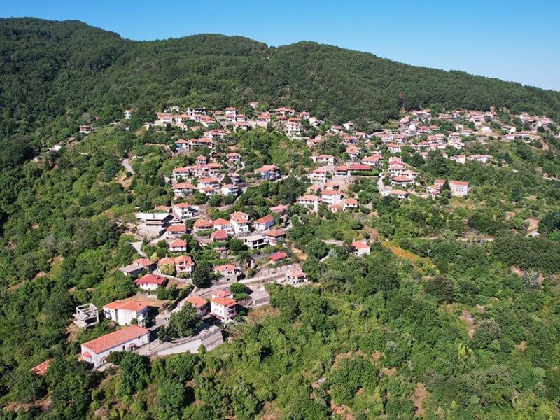 Ποτιδάνεια