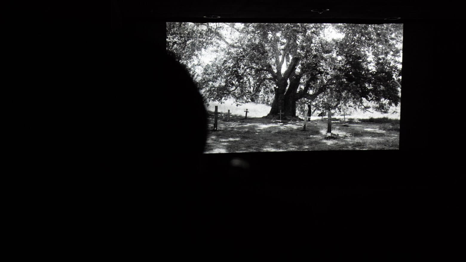 SAE Student Film Festival