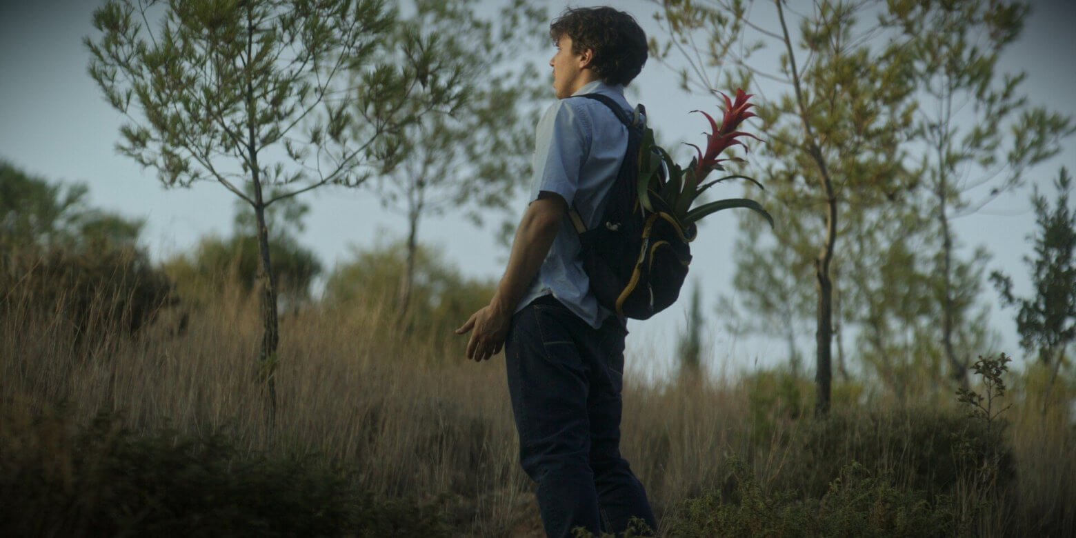 hotopolis-film-festival-dellis